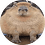 TTP