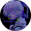 tuparyloyeg