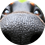 uzO