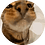 vaizel