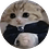 VarietyHVH