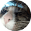 veasman