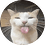 vilandercc