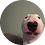 Vincey