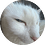 Vladiss