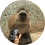 vrax