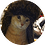 weebe