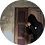 winti1337