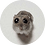 wlxczek