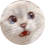 x30352282