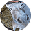 xCuly