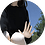 XGAMING