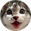 XPRSSN