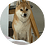 yuv
