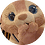 zbnjkl123