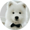 zedrewcsgo