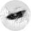 zenndll