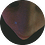 zimer