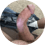 Zozozolochka