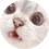 Zugriff1337