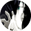 zxczxczxc123123