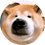 zzqsb123